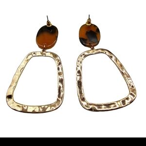 Elegant Gold and Brown Earrings